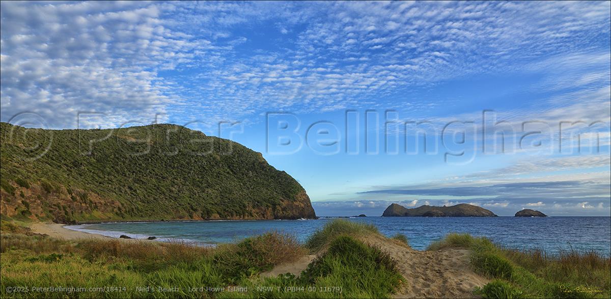 Peter Bellingham Photography Ned's Beach - Lord Howe Island - NSW T (PBH4 00 11679)